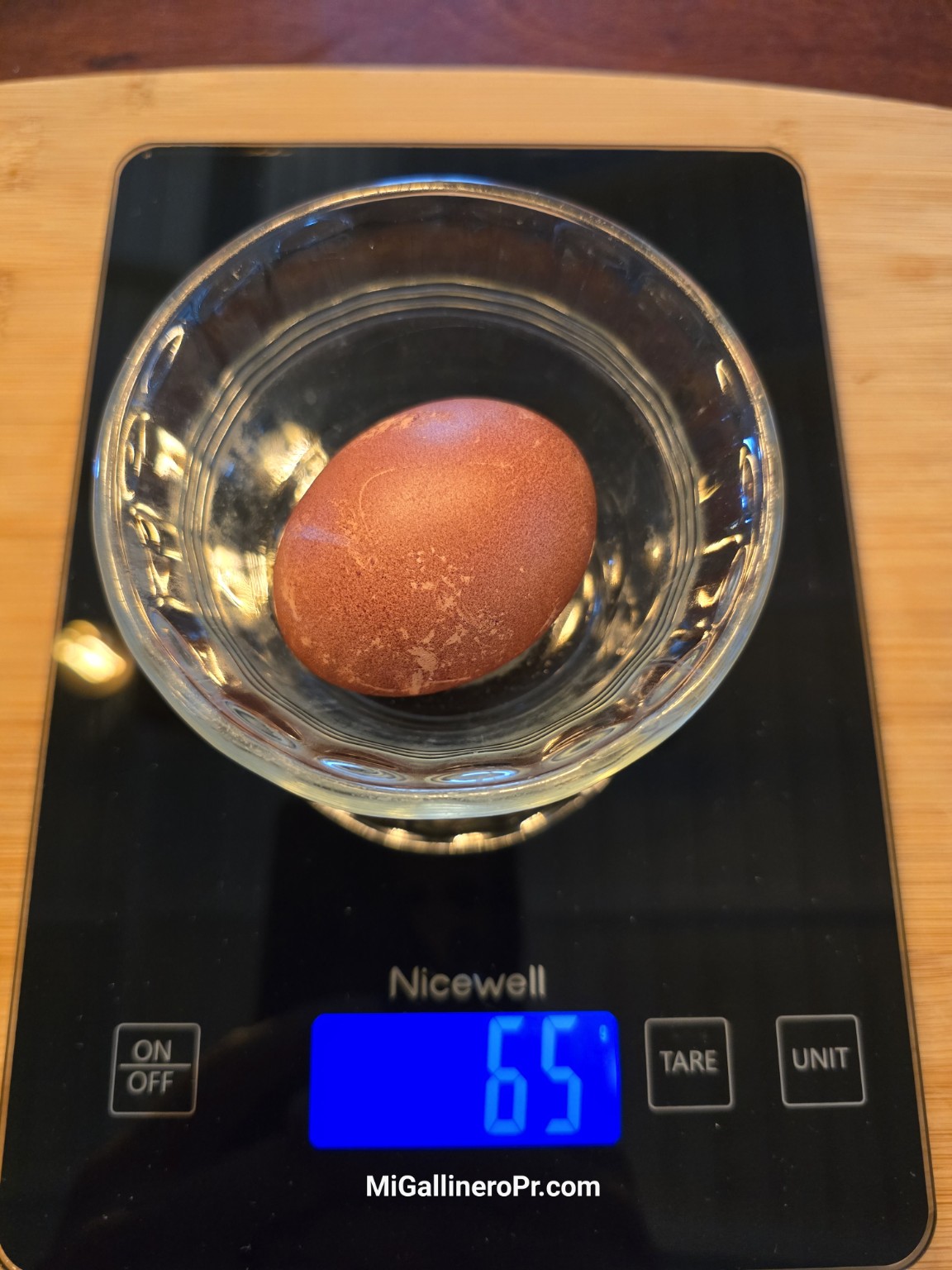 Huevo grande de French Black Copper Marans — 65 g