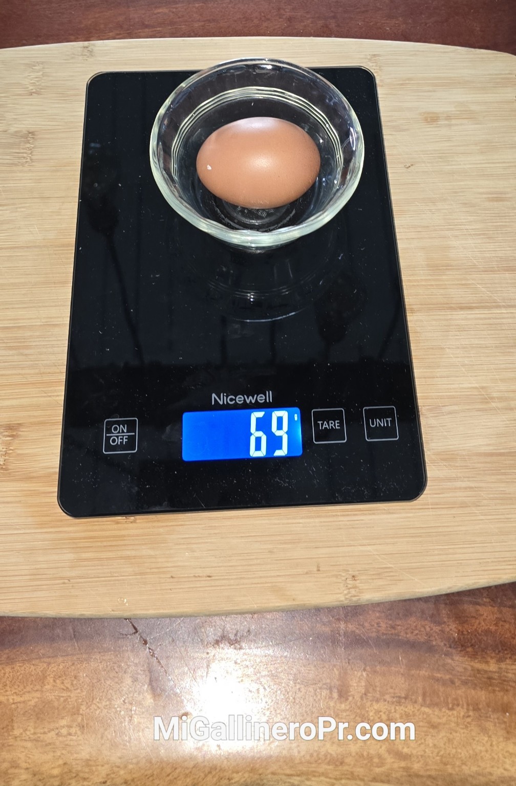 Huevo grande de French Black Copper Marans — 69 g